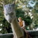 b1-r_p_121493_1_eragon_story1
